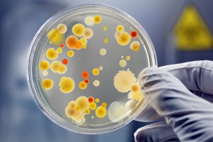 СЕС відзвітувала про захворюваність на кір в Україні