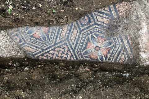 В Вероне под виноградником нашли древнеримскую мозаику 