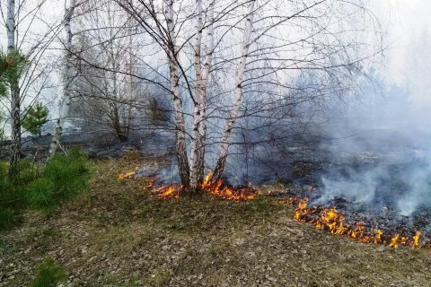 ​Біля Станиці Луганської загорівся замінований ліс, одна людина поранена (оновлено)