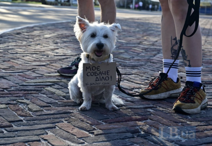 Чернігів, 23 липня 