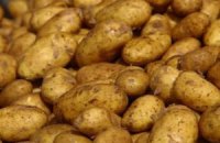 В Харьковской области школьникам покупают сверхдорогой картофель
