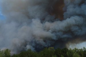 Азаров: пожежу в Херсонській області локалізовано