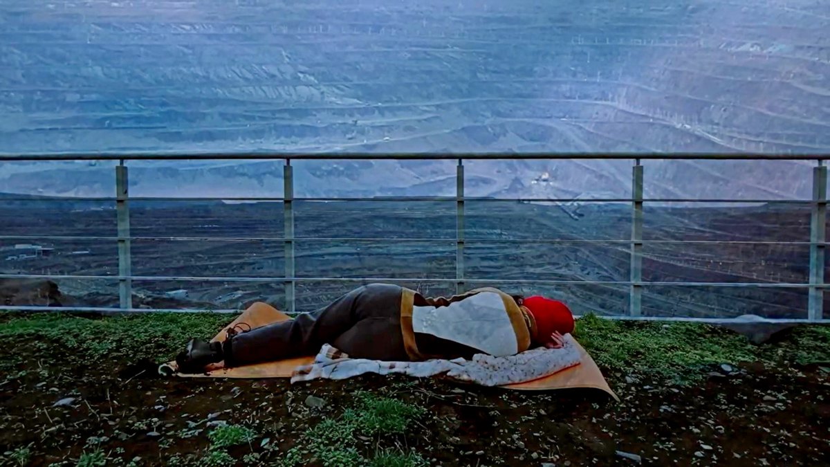 Відео «Сплячі ландшафти», Тамара Сафарова (Київ)