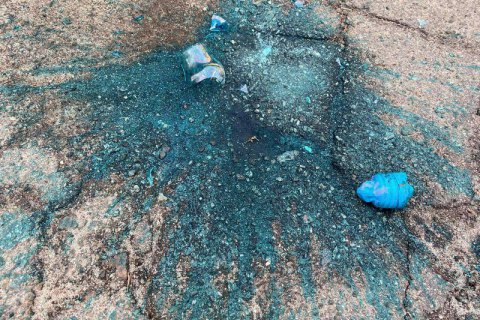 "Киевблагоустройство" забросали лампочками с зеленкой