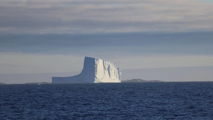 Кадр з фільму «Антарктида». 