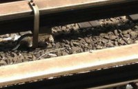 В Тернопольской области два вагона поезда сошли с рельсов из-за кражи элементов путей