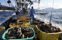 США почали масово закуповувати японські морепродукти після заборони Китаю на них