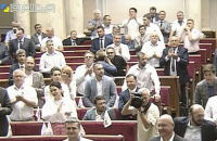 Верховная Рада устроила овацию Виде и Вукоевичу