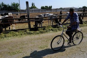 В Украине началась пробная сельхозперепись