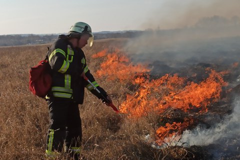 На Луганщине спасатели почти погасили пожар, который продолжается пятый день (обновлено)