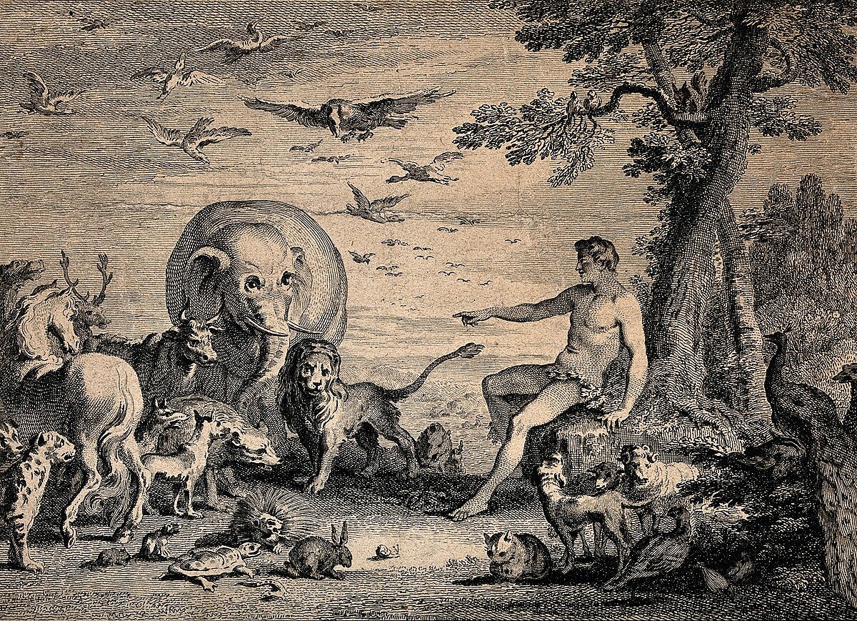 Гравюра. Адам дає тваринам назви.