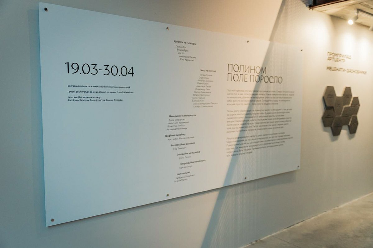 Під час виставки «Полином поле поросло».