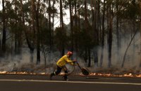 Австралії знадобиться близько століття для відновлення після пожеж