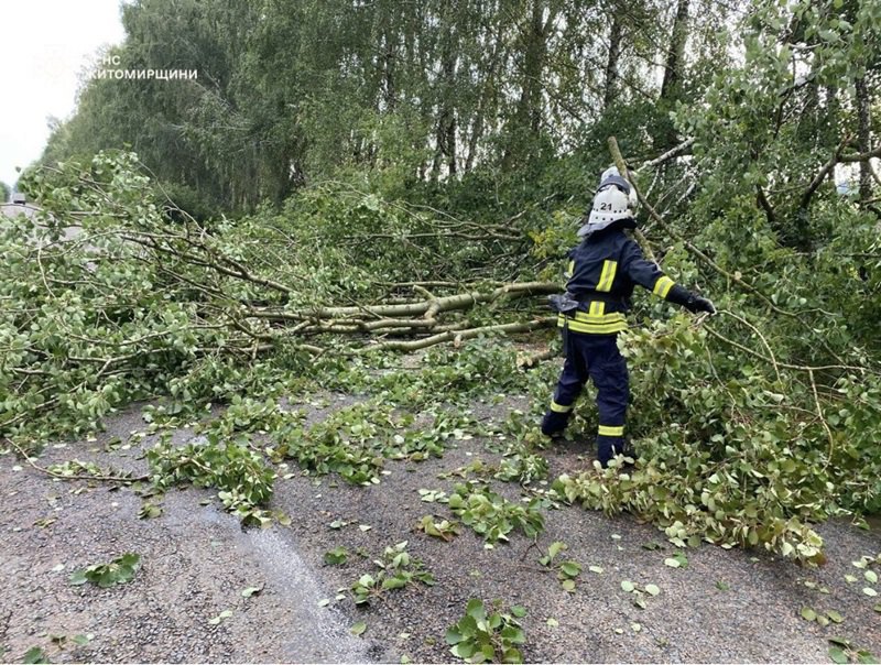 Наслідки негоди