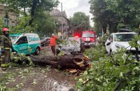 После бури во Львове повалены деревья, затоплены улицы, повреждены крыши