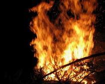 МЧС Днепропетровской области в 2011 году потратит 1 млн грн на технику для тушения лесных пожаров