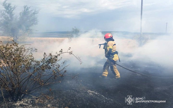 В Україні минулої доби загальна площа загорянь в екосистемах склала майже 225 га