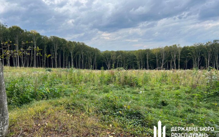 На Тернопільщині керівників лісгоспу підозрюють у незаконних рубках на 56 млн грн