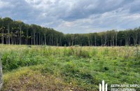 На Тернопільщині керівників лісгоспу підозрюють у незаконних рубках на 56 млн грн