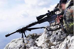 В Киеве готовят серийное производство снайперских винтовок