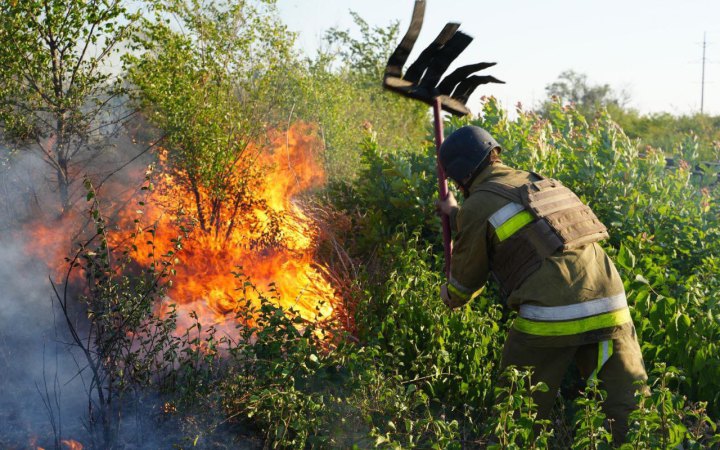 У Миколаєві вирує масштабна пожежа