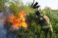 У Миколаєві вирує масштабна пожежа