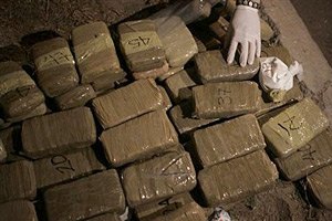 С начала года таможенники изъяли более 40 кг кокаина