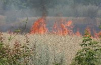 ​Коли дійде верховенство права до Миколаївщини?