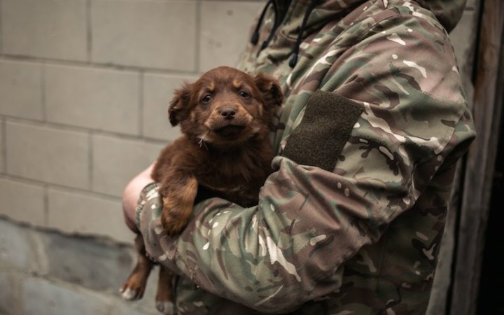 Епіцентр та UAnimals допоможуть тваринам військових на передовій