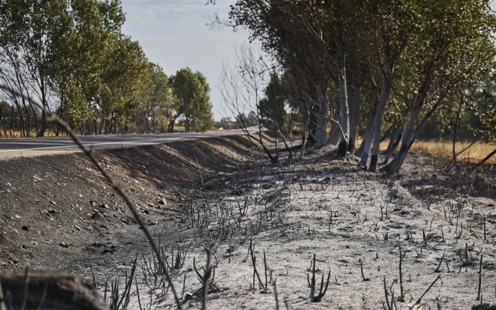 Біля Мадриду чоловік загинув у лісовій пожежі