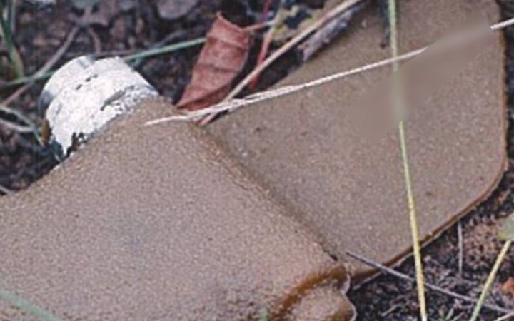 На Херсонщині внаслідок підриву на міні загинув чоловік