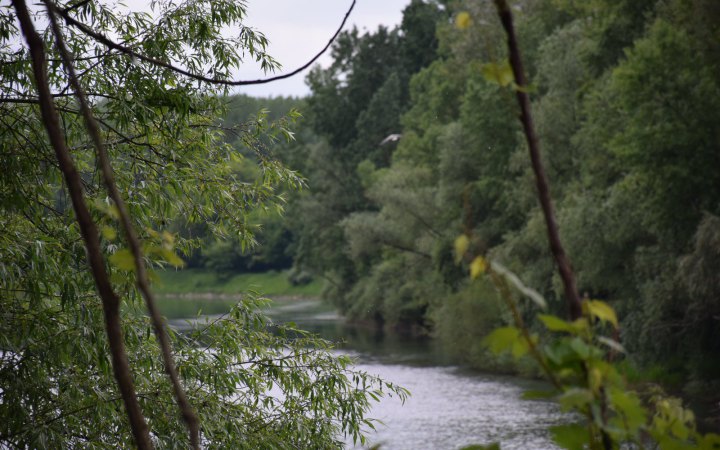 На березі Тиси виявили тіло потопельника