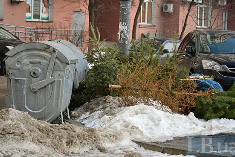 В Киеве заработали пункты приема новогодних елок для утилизации