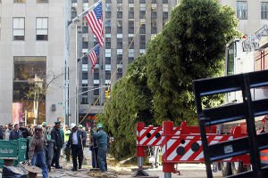 В Нью-Йорке установили рождественскую елку