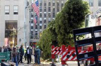 В Нью-Йорке установили рождественскую елку