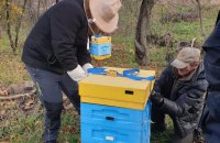 UAnimals евакуювали бджіл, які пережили окупацію під Ізюмом