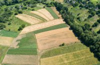 Перший мільйон проданих гектарів: як розвивається ринок землі в Україні