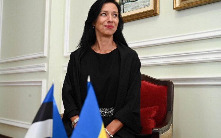 ​Посол Естонії закликала якнайшвидше озброїти Україну: "Вони здатні зупинити Росію зараз"