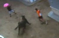На фестивале быков животное убило пьяного испанца с розовым зонтиком