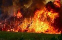 У Канаді через лісові пожежі евакуювали 37 тис. осіб