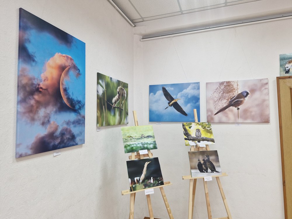 Виставка Анни Чернобай у Броварському краєзнавчому музеї