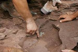 Археологи нашли золотой клад крестоносцев