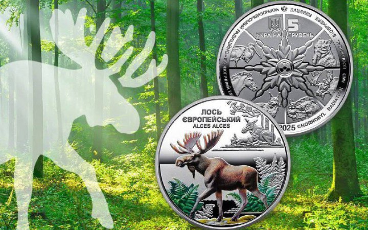 Національний банк ввів у обіг пам’ятну монету "Чорнобиль. Відродження. Лось європейський"