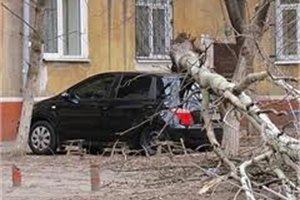 В Польше ураганный ветер повредил десятки домов и автомобилей