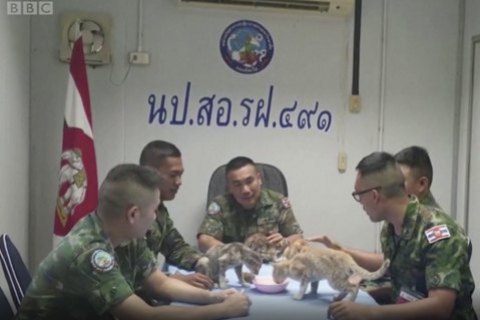 Военный из ВМС Таиланда вернулся на горящий корабль, чтобы спасти четырех котов