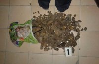 В Ровно СБУ изъяла янтаря на полмиллиона гривен