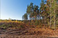 Вітаю всіх з порятунком Біличанського лісу!