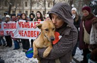 "Собачий грипп" косит украинцев