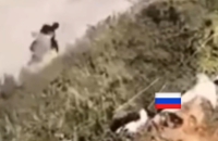 Прокуратура розслідує розстріл мирного жителя російським військовим під Покровськом