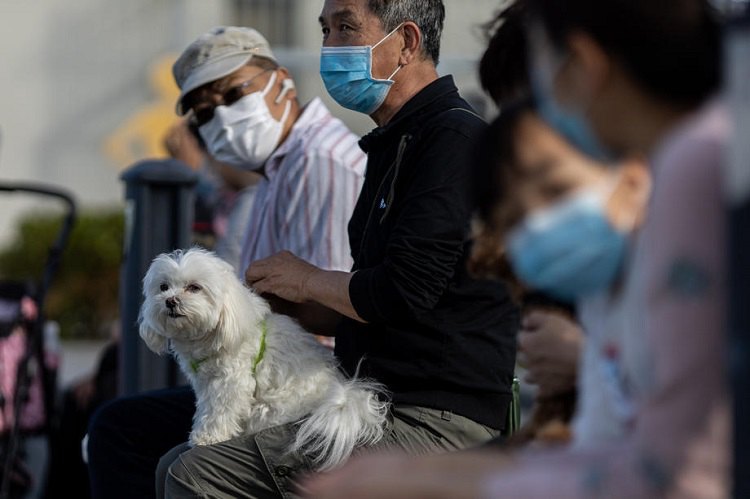 Жители Китая спасаются от эпидемии коронавируса